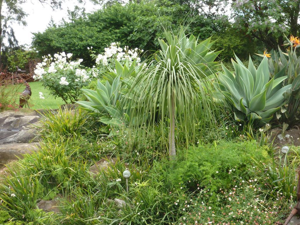Marula Lodge Swellendam Kültér fotó