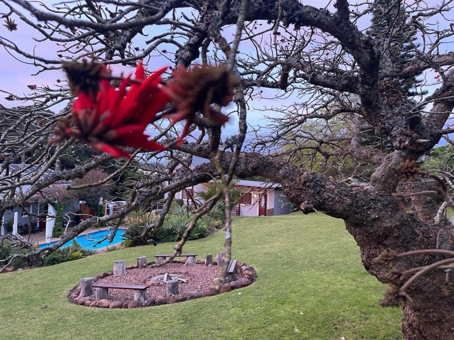 Marula Lodge Swellendam Kültér fotó