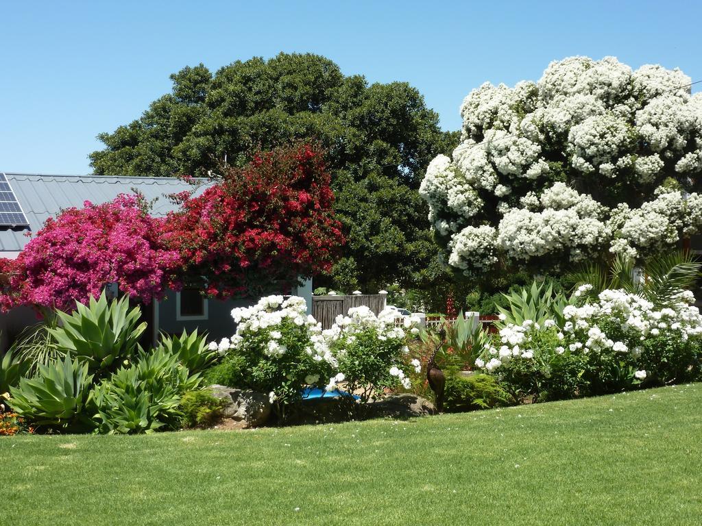 Marula Lodge Swellendam Kültér fotó