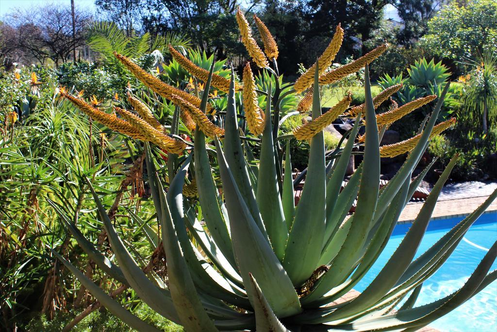 Marula Lodge Swellendam Kültér fotó