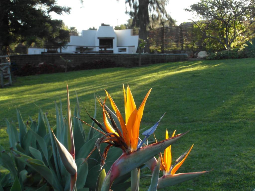 Marula Lodge Swellendam Kültér fotó