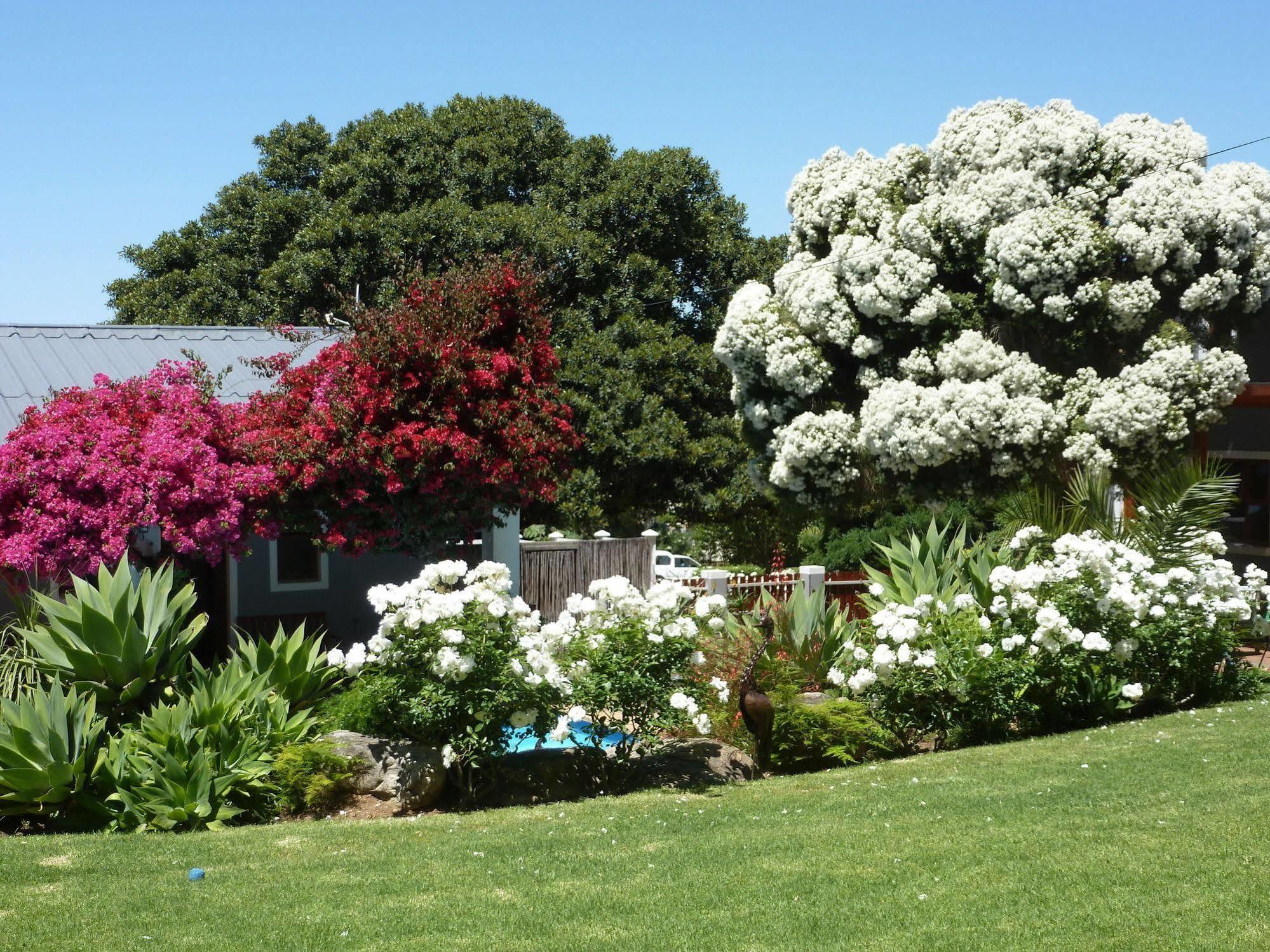 Marula Lodge Swellendam Kültér fotó