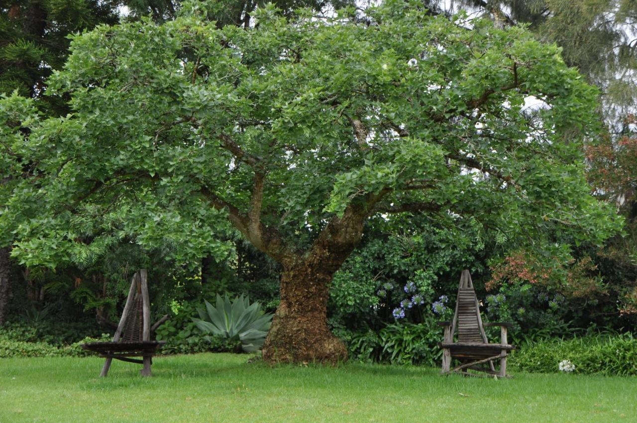 Marula Lodge Swellendam Kültér fotó
